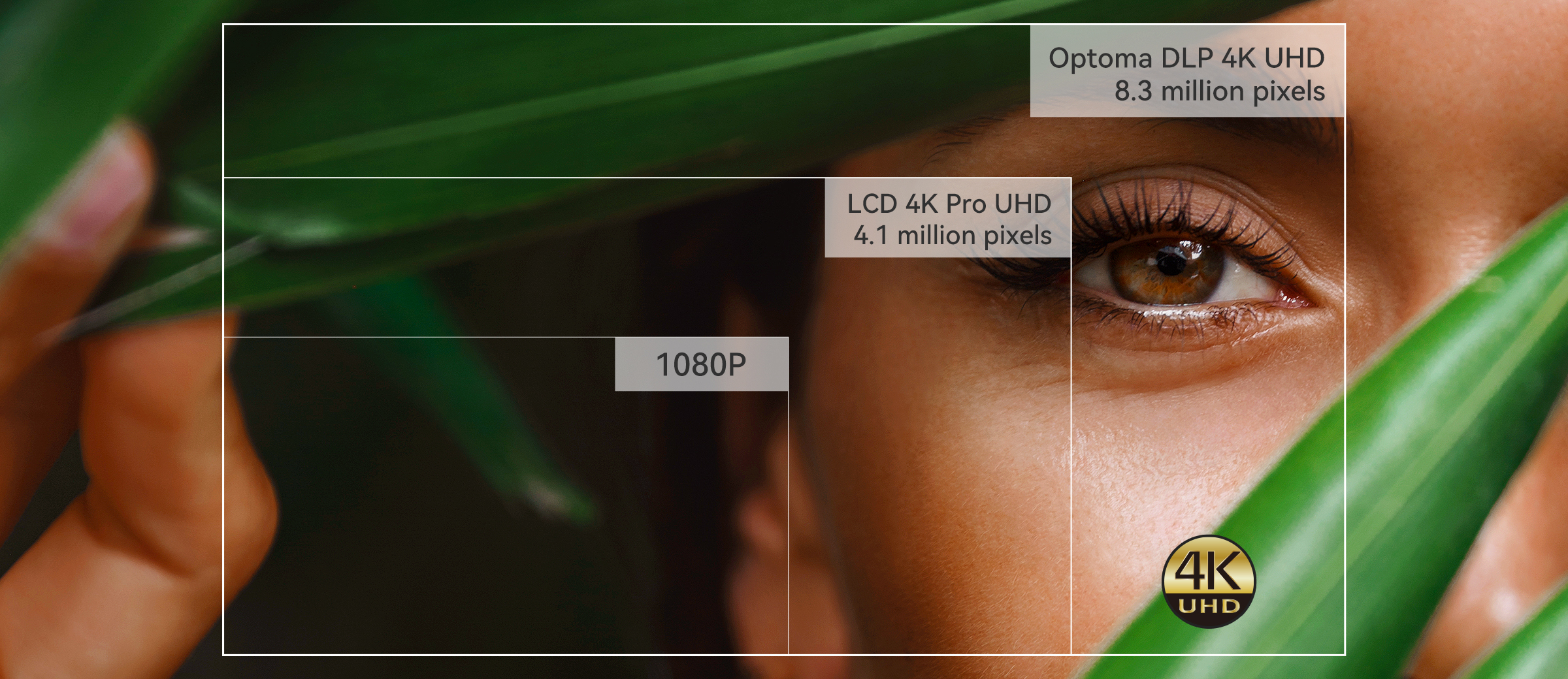 True 4K UHD Resolution