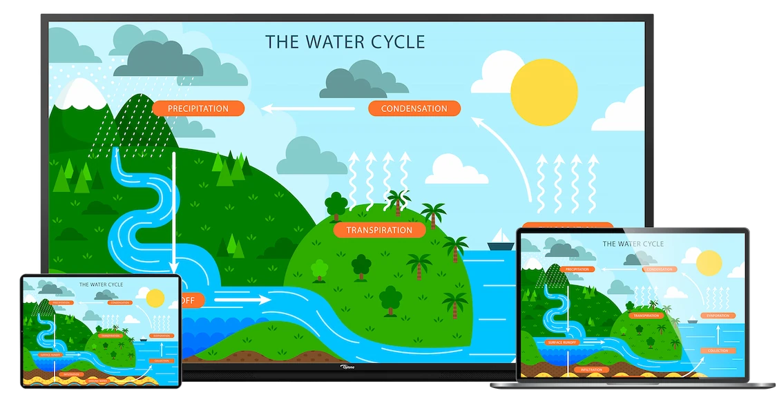 The water cycle